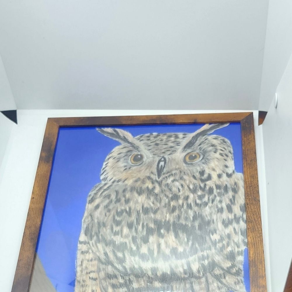 Hand Crafted Horned Owl Colored Pencil Drawing Framed 9x11" - Picture 7 of 12